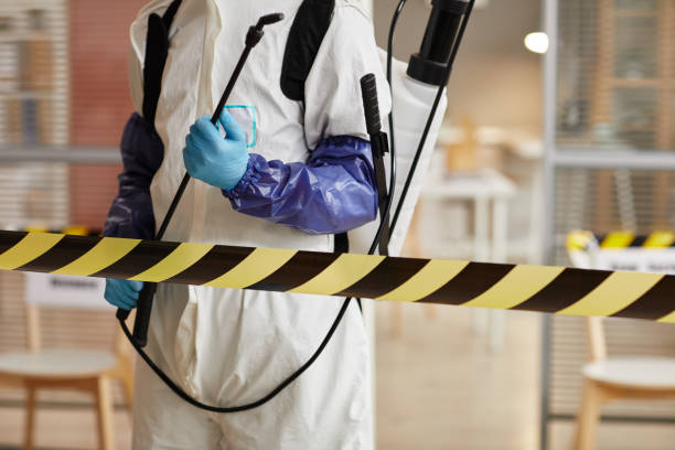 Professional Sewage Cleanup technician working in Long Island, ME